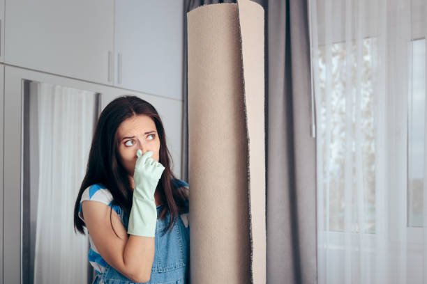 Professional Mold Removal in Kenbridge, VA